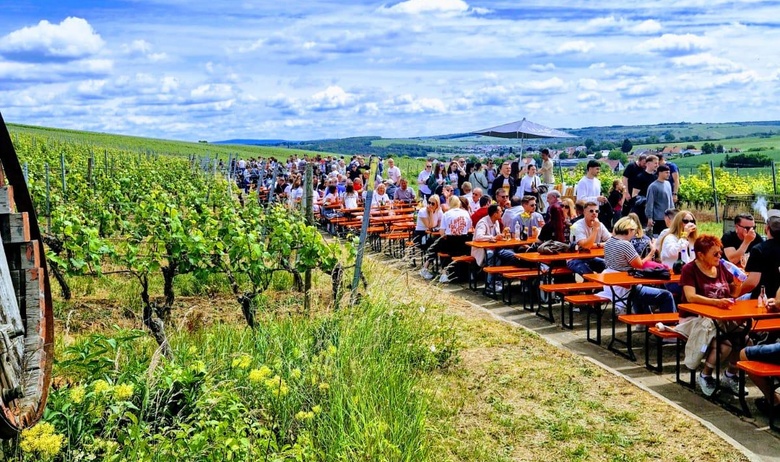 Weinbergswanderung_Wipfeld.jpg