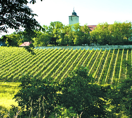 volkach-hallburg.jpg
