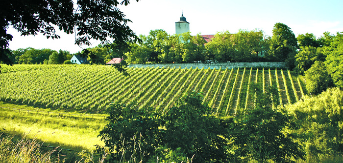 volkach-hallburg.jpg
