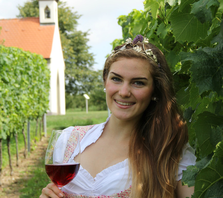 Weingut_Seger_Lindach.jpg