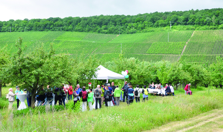 SinnesWandeln__Touristikrat_Nordheim_rohmfeld.jpg