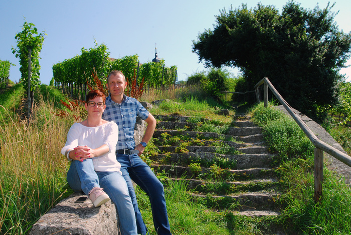 Weingut_Schneider__Volkach.JPG