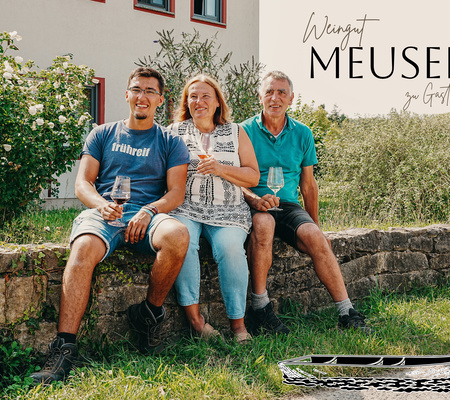 Weingut_Meusert_neues_Webbild.jpg