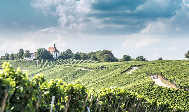 Vogelsburg_www.studiozudem.de.jpg