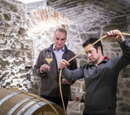 Weingut_Rainer_Sauer__Escherndorf_Bildquelle_Peter_von_Felbert.jpg
