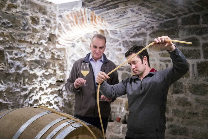 Weingut_Rainer_Sauer__Escherndorf_Bildquelle_Peter_von_Felbert.jpg