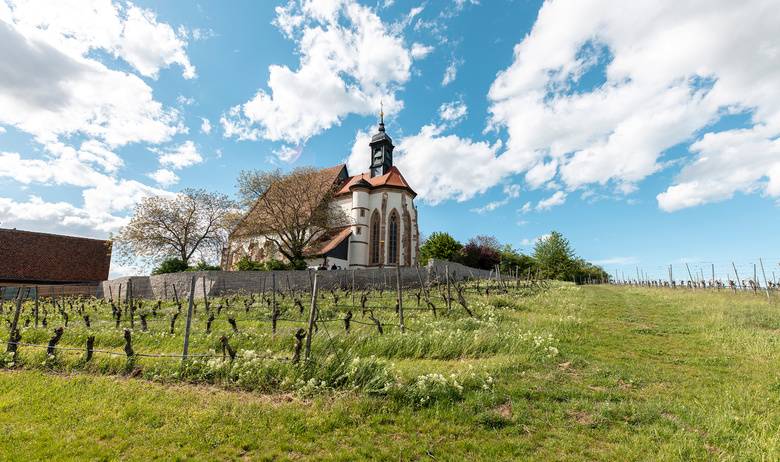 Wallfahrtskirche_Maria_im_Weingarten_www.studiozudem.de.jpg